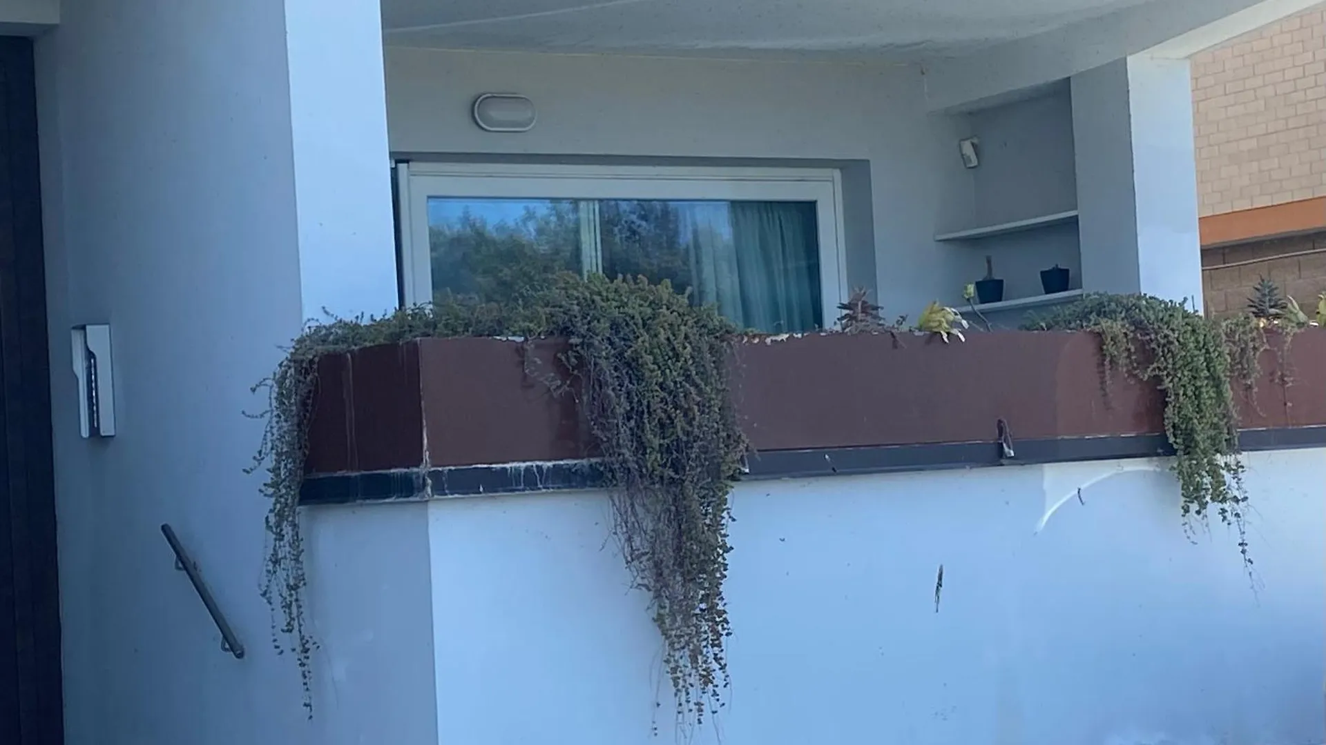 Flamingo View Apartment Orbetello 0*,